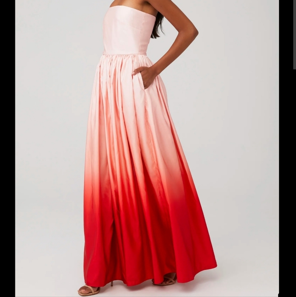 SAU LEE Teigen Gown in Blush Red Ombre Size 8